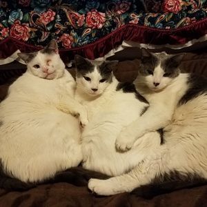 Meet your Posher, Miae